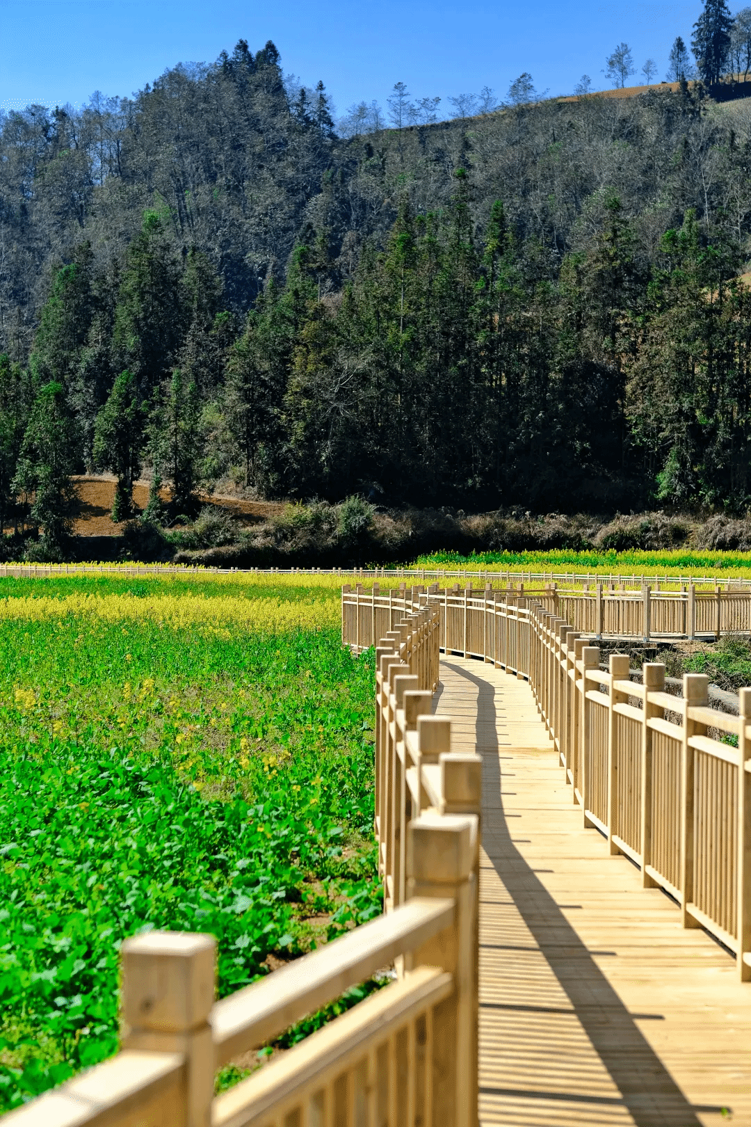 腾博会官网 - 诚信为本,专业服务!