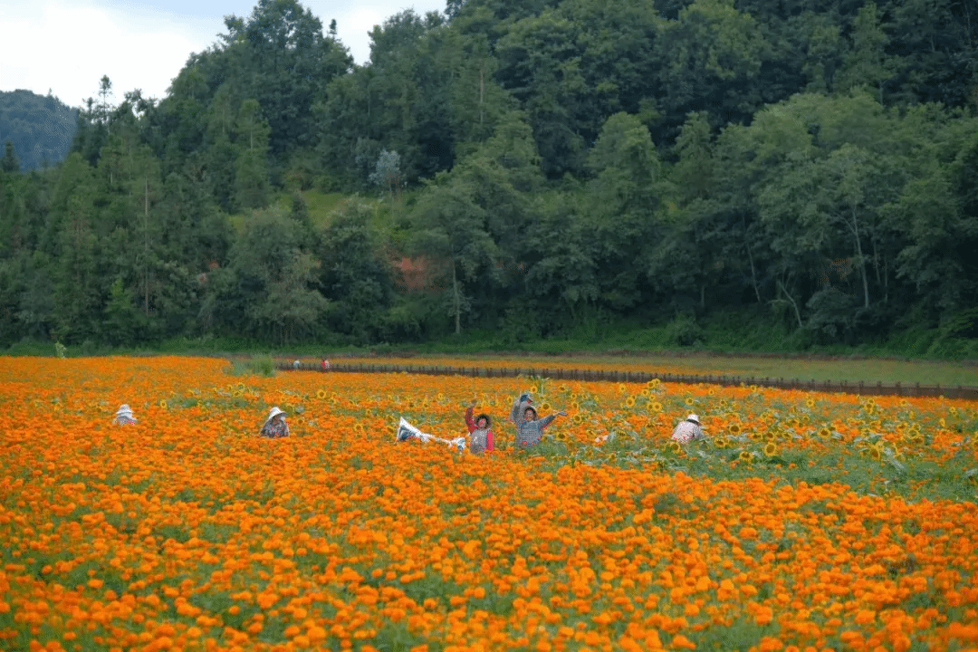 腾博会官网 - 诚信为本,专业服务!