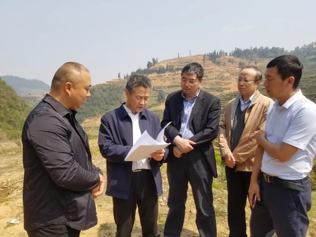 腾博会官网 - 诚信为本,专业服务!