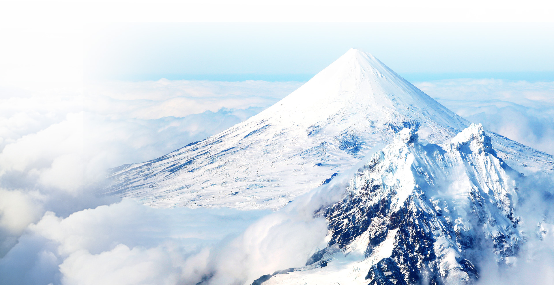 腾博会官网 - 诚信为本,专业服务!